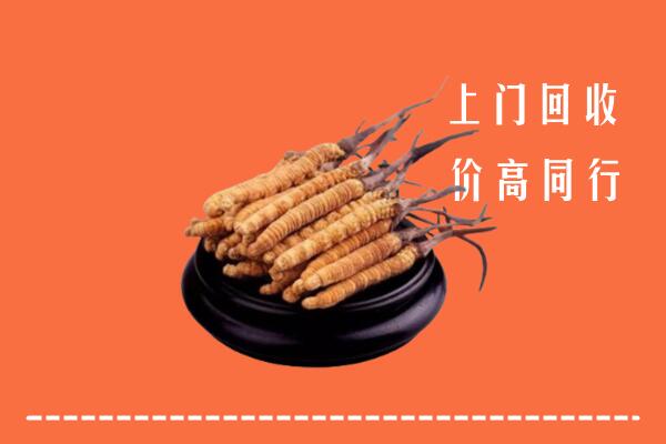 高价求购：凉山盐源县回收散虫草