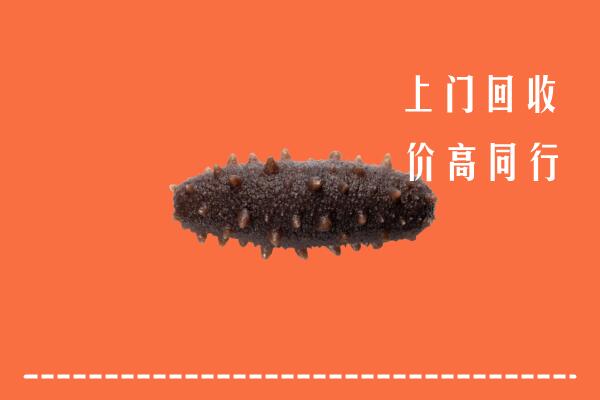 高价求购：凉山盐源县回收海参