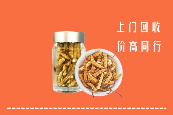 凉山盐源县回收冬虫夏草
