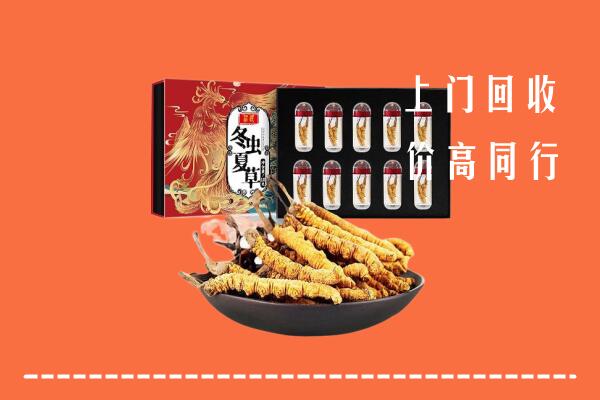 凉山盐源县回收虫草